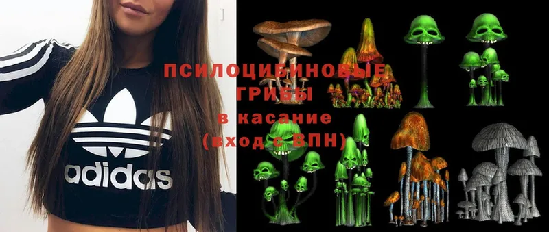 наркота  MEGA зеркало  Псилоцибиновые грибы MAGIC MUSHROOMS  Белоярский 